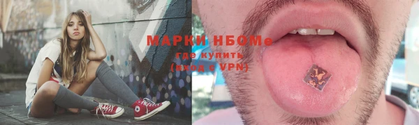 молекула духа Кинешма