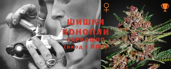 молекула духа Кинешма