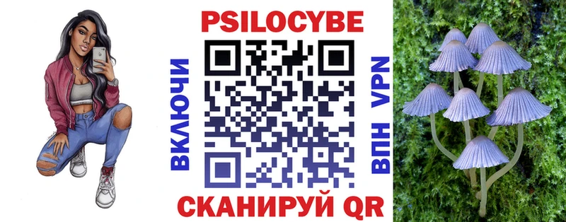 Галлюциногенные грибы Psilocybe  Купить закладки  Дмитриев 